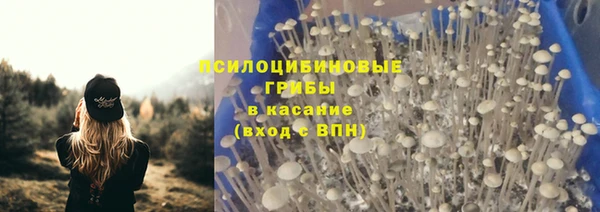 индика Алзамай