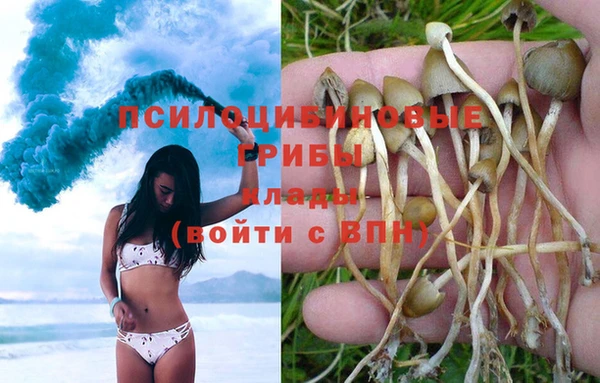 индика Алзамай