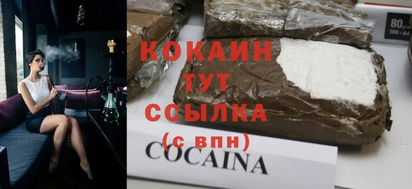 индика Алзамай