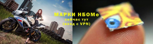 индика Алзамай