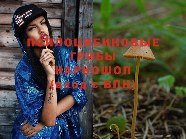 индика Алзамай