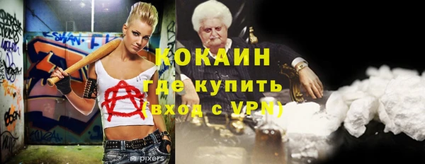 индика Алзамай
